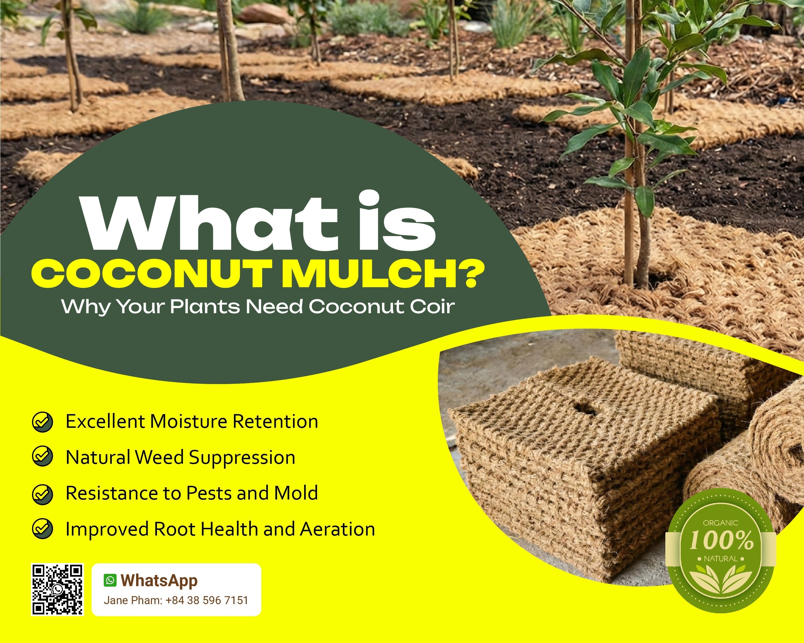 What is Coconut Mulch? Why Your Plants Need Coconut Coir  Golden Coir  VietNam