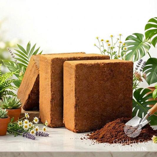 Coconut Coir Brick 5kg from Vietnam, Organic Coco Coir Bricks for Plants - Golden Coir VietNam