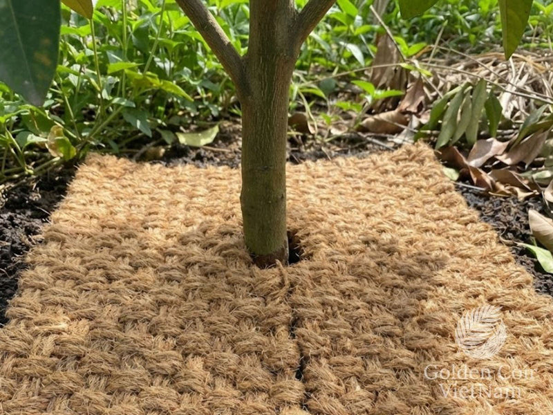 Breathable coconut coir mulch mat installed around tree trunk as a safer alternative to Rubber Mulch Ring to reduce trunk rot and collar constriction