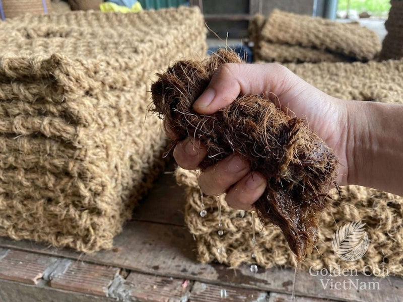 How to Rehydrate Coconut Fiber Blocks for Lush Plant Growth - Golden Coir VietNam