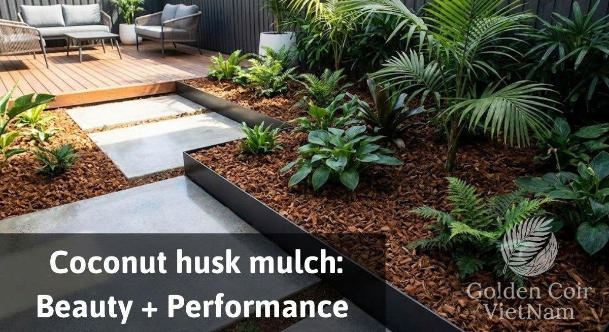 Modern garden landscaping using coconut mulch to enhance aesthetics, plant health, and sustainable design