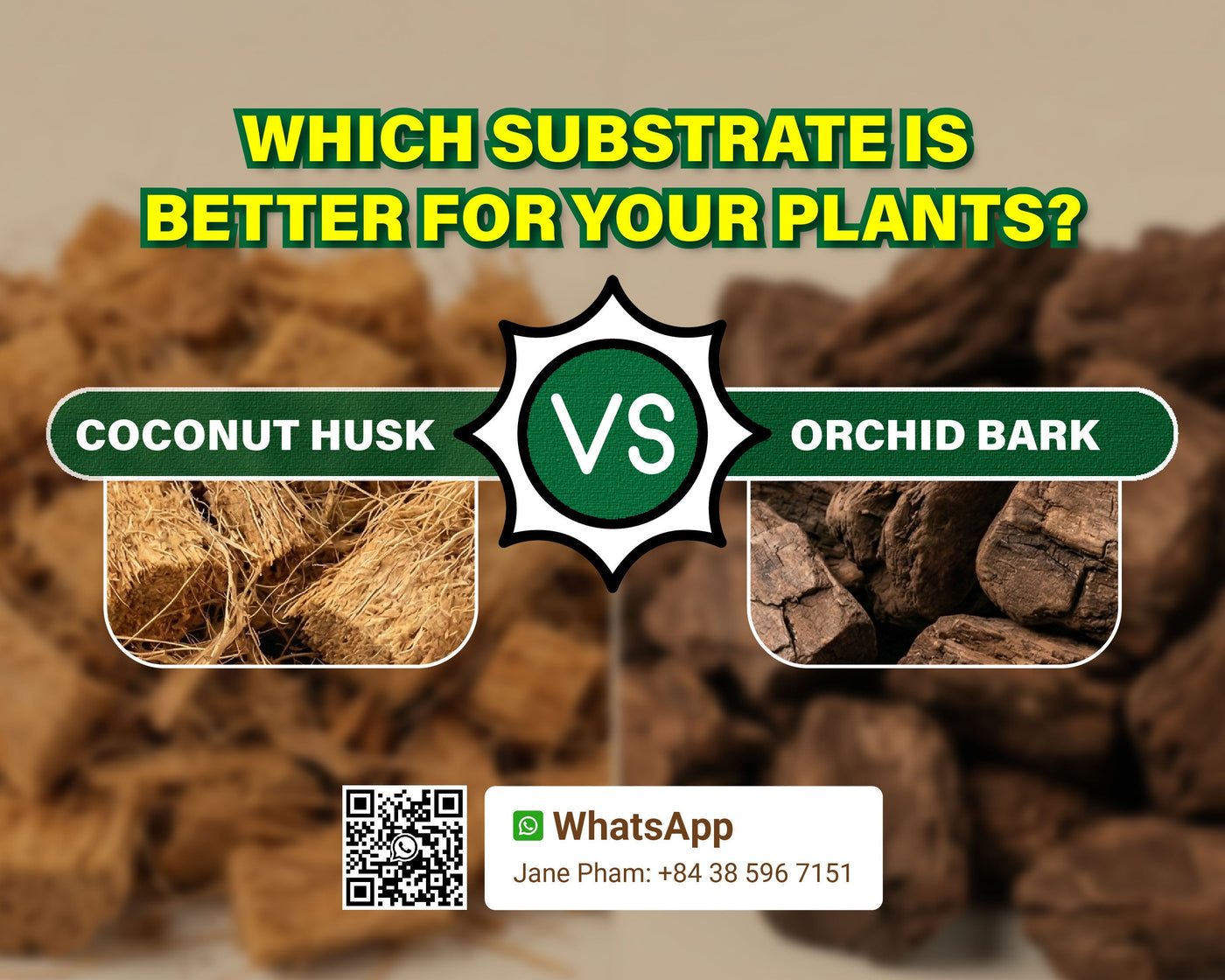 Why is Coconut Husk Replacing Orchid Bark for Tropical Plants? - Golden Coir VietNam