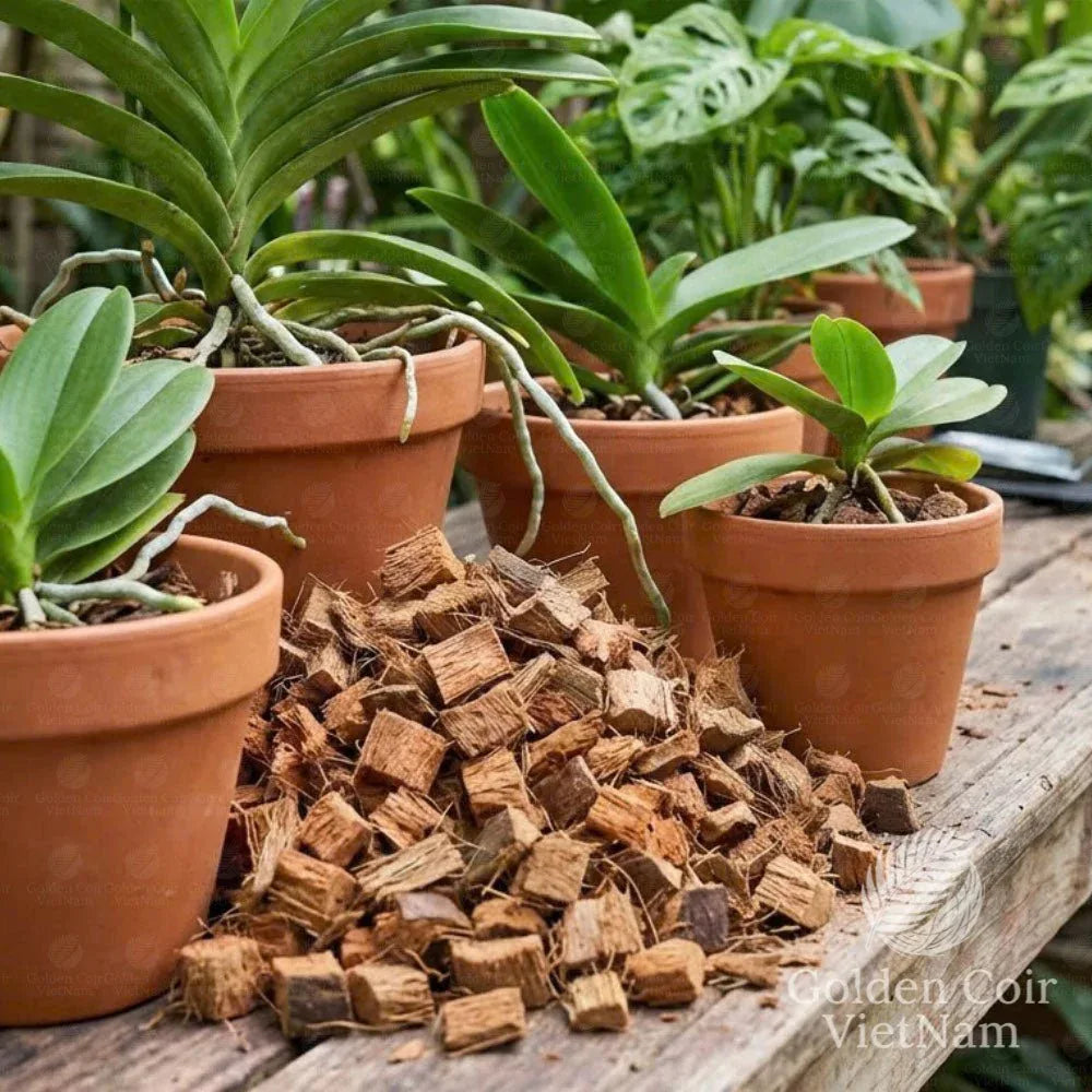 Coco Chips, Organic Coconut Husk Chips for Orchids, Aroids, Potting Mi   Golden Coir VietNam