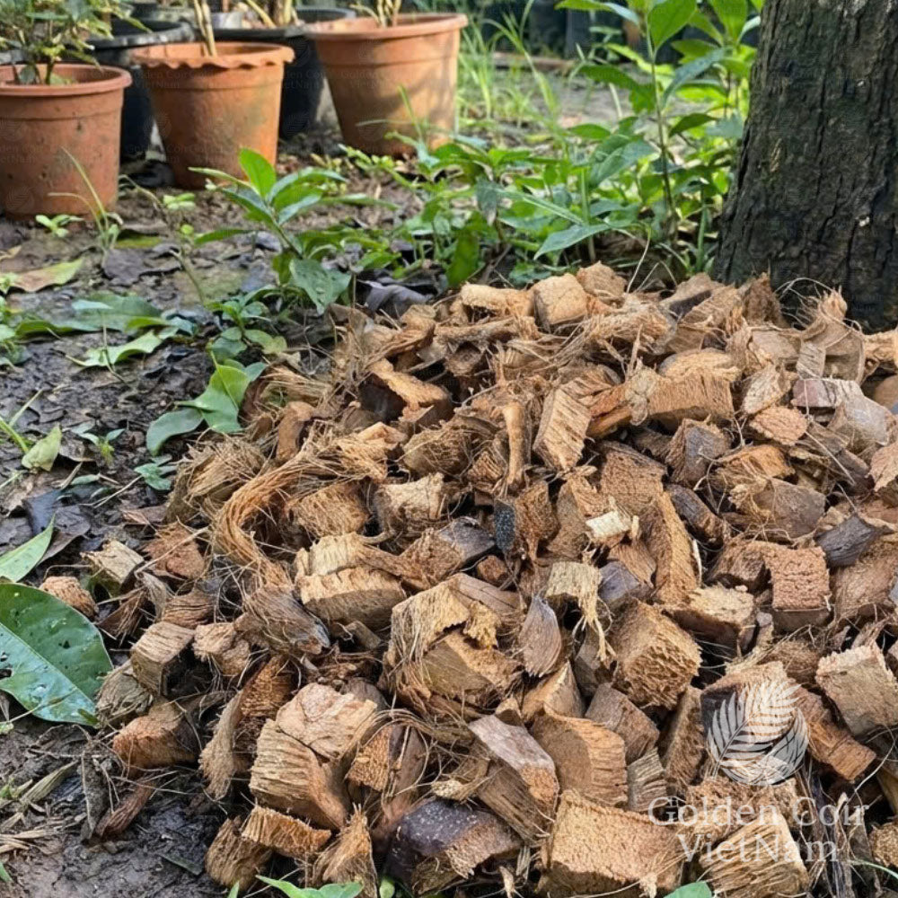 Coco Chips, Organic Coconut Husk Chips for Orchids, Aroids, Potting Mix
