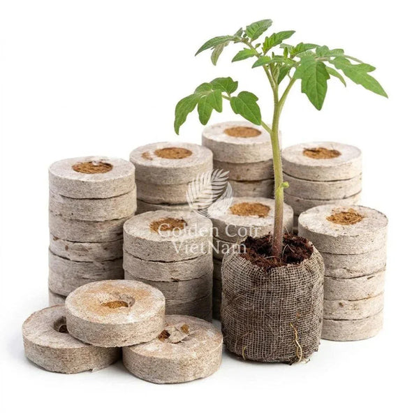 Coco Coir Pellets 35mm, Seed Starting Pellets for Root Development - Golden Coir VietNam