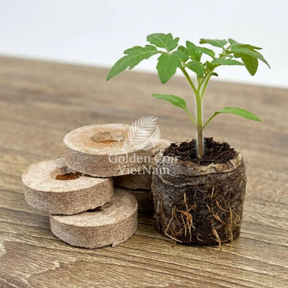Coco Coir Pellets 35mm, Seed Starting Pellets for Root Development - Golden Coir VietNam