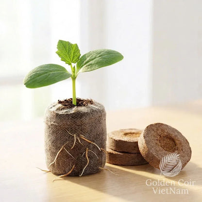 Coco Coir Pellets 35mm, Seed Starting Pellets for Root Development - Golden Coir VietNam