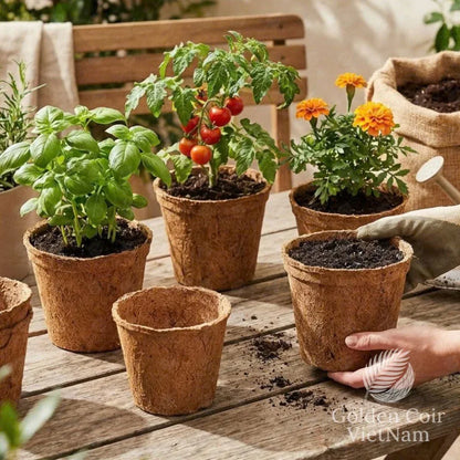 Coco Coir Pots, Round Coco Fiber Plant Pots - Golden Coir VietNam