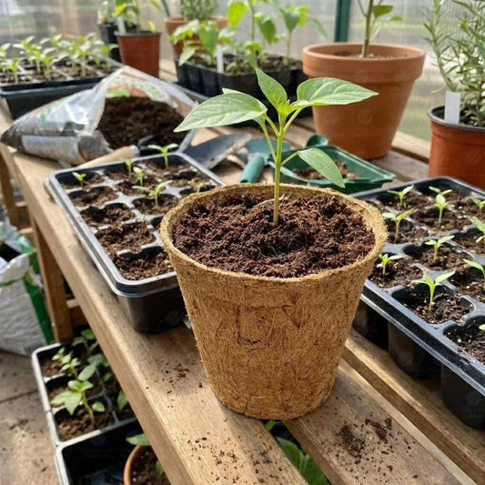 Coco Coir Pots, Round Coco Fiber Plant Pots - Golden Coir VietNam