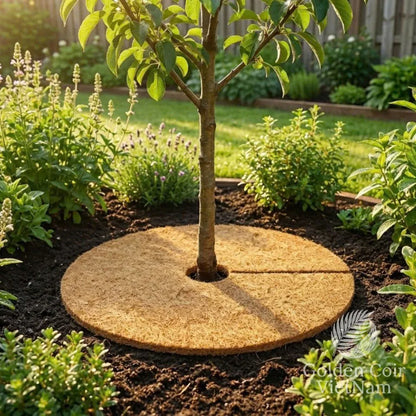 Coco Fiber Tree Ring, Natural Coir Mulch Mat for Pots, Trees, and Garden Beds - Golden Coir VietNam