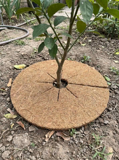 Coco Fiber Tree Ring, Natural Coir Mulch Mat for Pots, Trees, and Garden Beds - Golden Coir VietNam