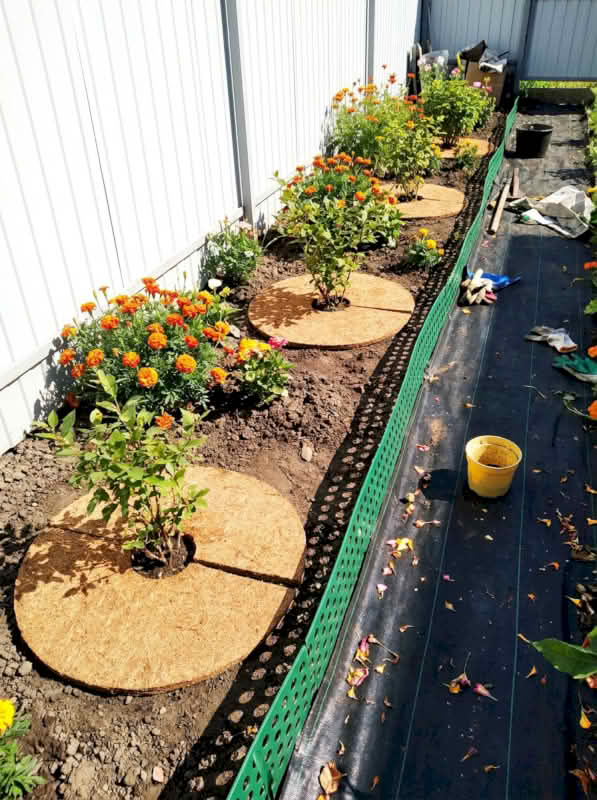 Coco Fiber Tree Ring, Natural Coir Mulch Mat for Pots, Trees, and Garden Beds - Golden Coir VietNam