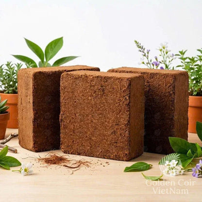 Coconut Coir Brick 5kg from Vietnam, Organic Coco Coir Bricks for Plants - Golden Coir VietNam