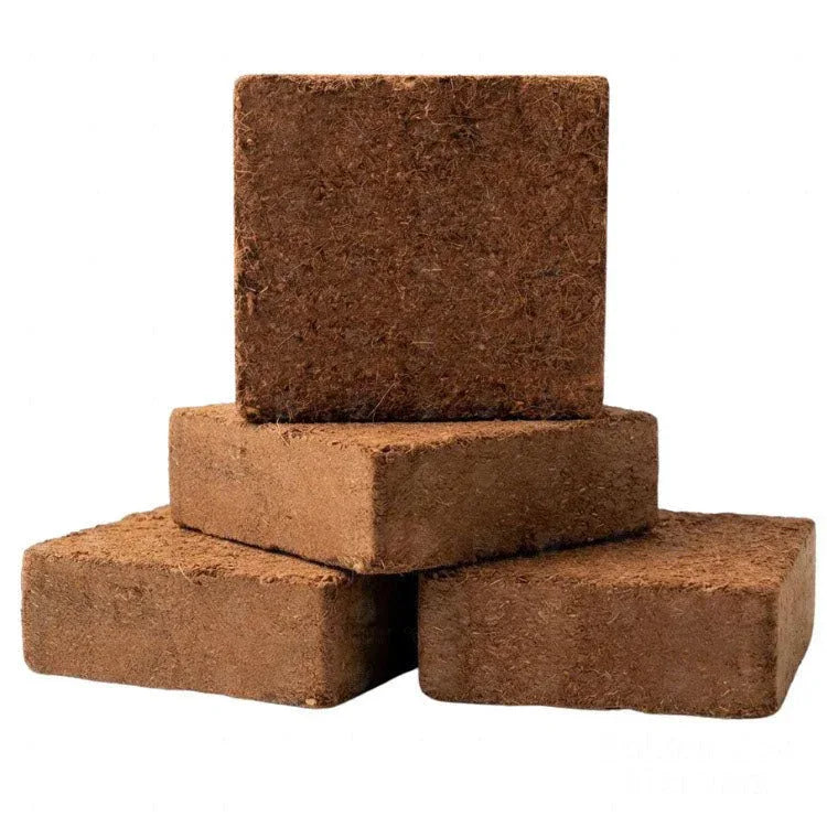 Coconut Coir Brick 5kg from Vietnam, Organic Coco Coir Bricks for Plants - Golden Coir VietNam