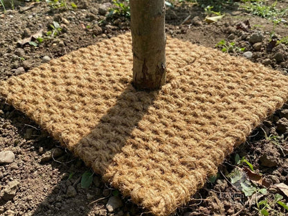 Tấm phủ xơ dừa, ngăn ngừa cỏ dại tự nhiên, giữ ẩm. 